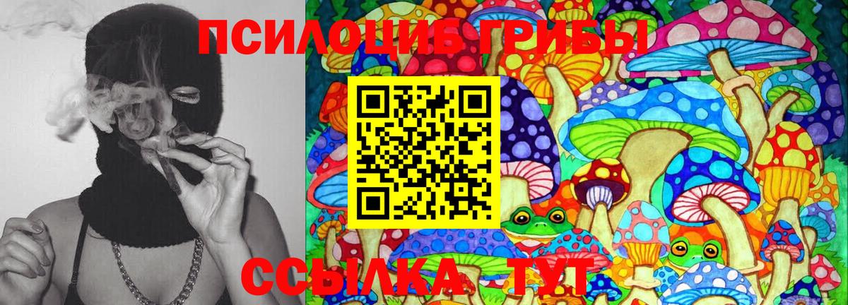 сколько стоит  Вход с VPN  Галлюциногенные грибы мицелий  Муром  Псилоцибиновые грибы мухоморы 