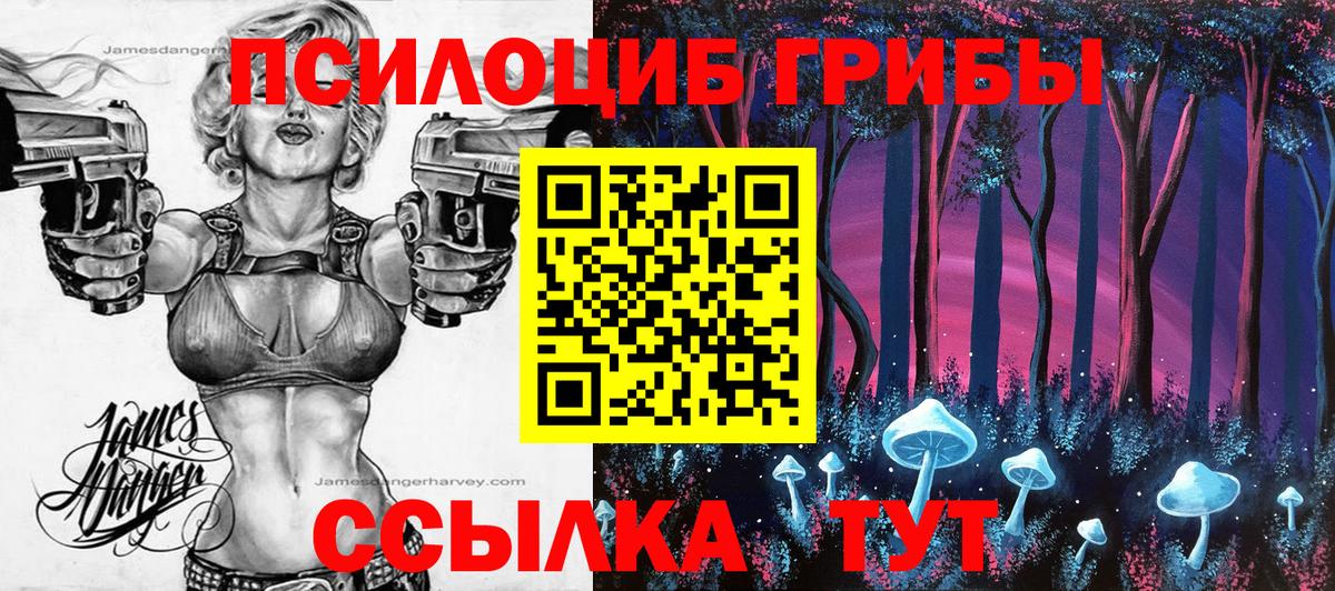 Галлюциногенные грибы GOLDEN TEACHER Муром
